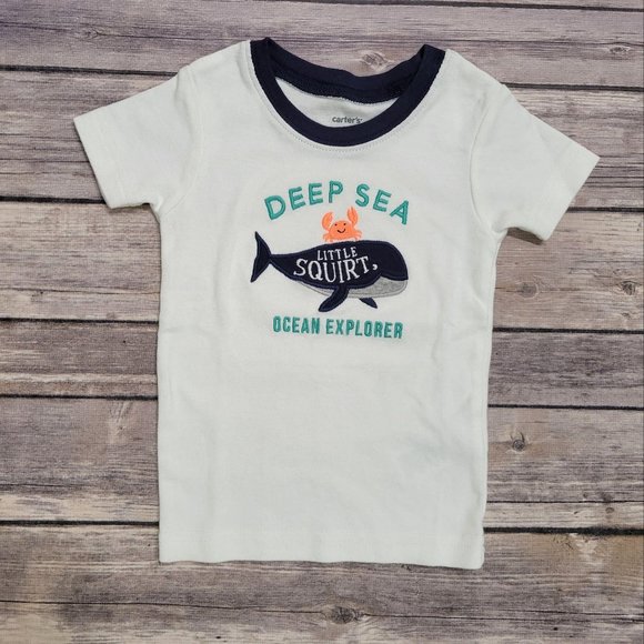 Carters Toddler Boy 12 Mo Shirts Shorts Bundle 720 - Picture 10 of 16